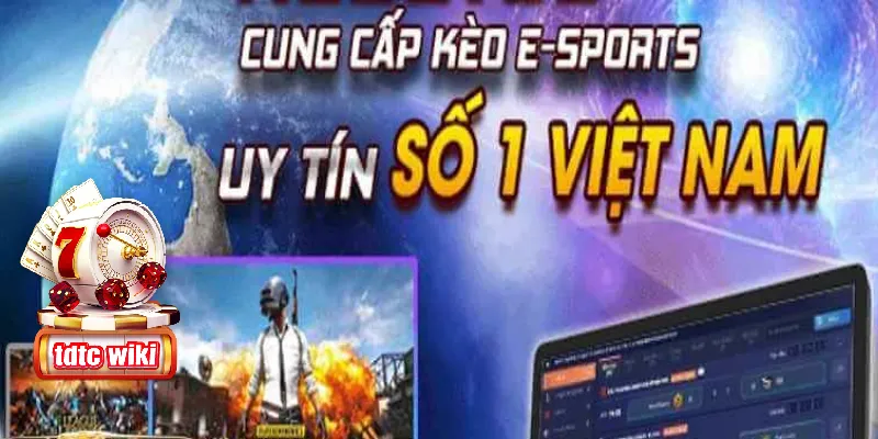 Đôi nét về sảnh game esport tdtc